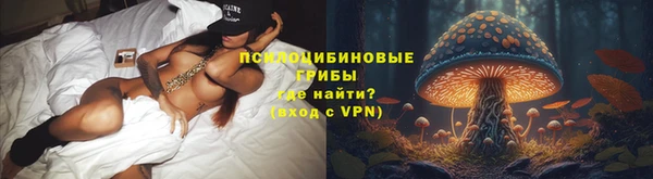 а пвп мука Богданович