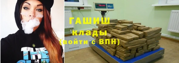 spice Богородицк