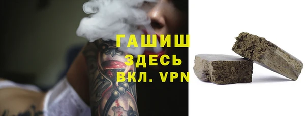 spice Богородицк