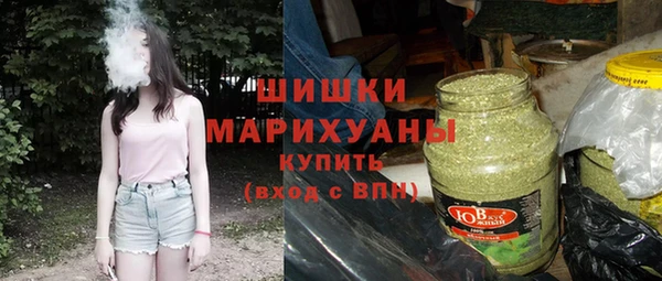 spice Богородицк