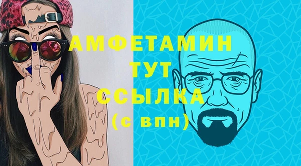 spice Богородицк