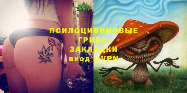 а пвп мука Богданович